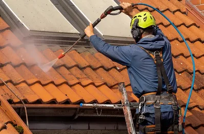 Démoussage et hydrofuge de toiture à Grandrieux